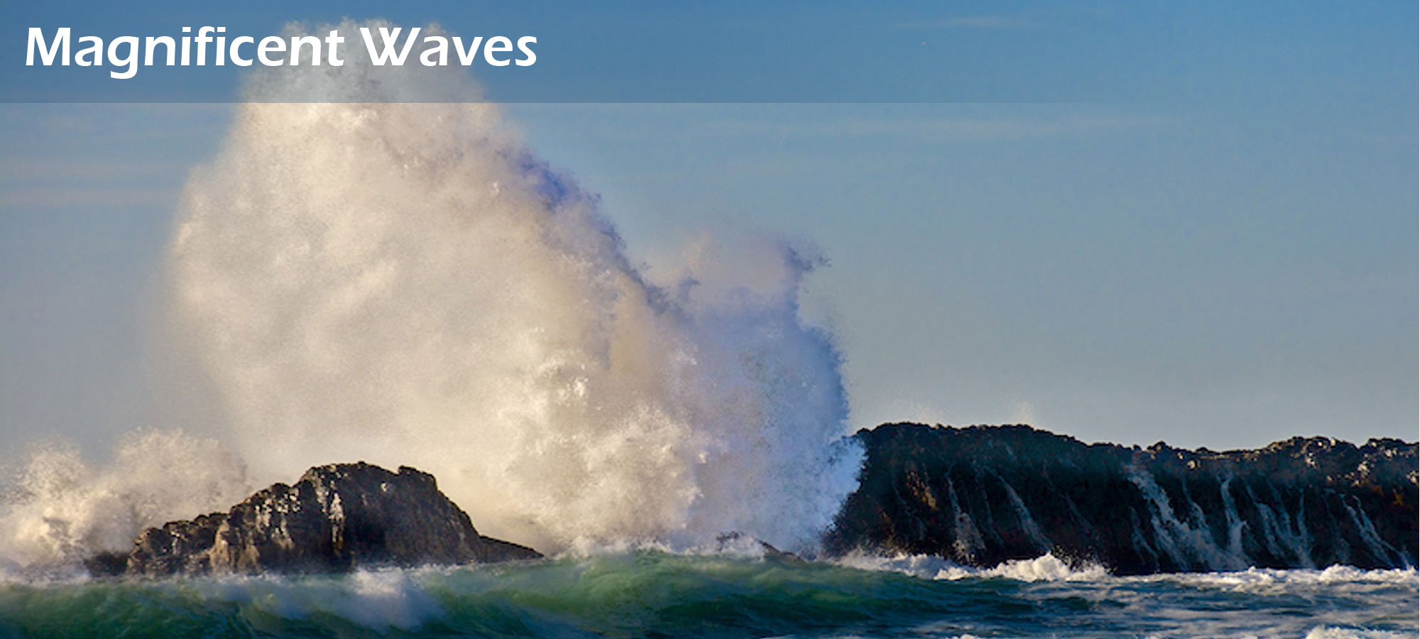 Magnificent Waves on Seal Rock Beach