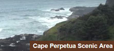 Cape Perpetua Scenic Area